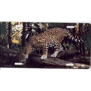 Pouncing Jaguar Photo License Plate 